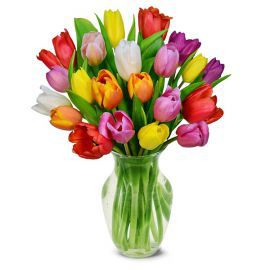  Malatya Çiçek Siparişi Vazoda 20 Renkli Lale